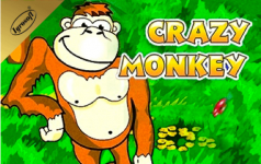 crazy-monkey